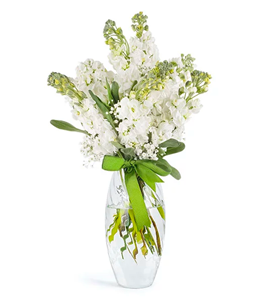 Bornova Çiçekçi , Çiçekçi Bornova , İzmir Bornova Çiçekçi